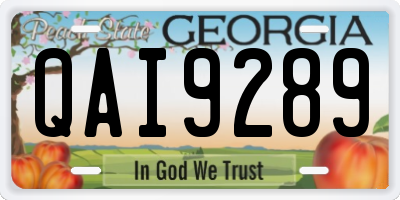 GA license plate QAI9289