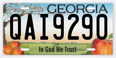 GA license plate QAI9290