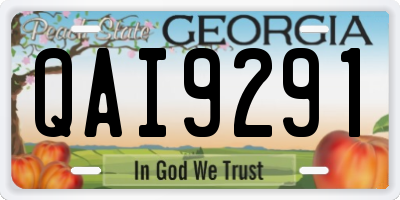 GA license plate QAI9291
