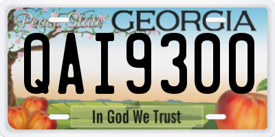 GA license plate QAI9300