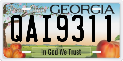 GA license plate QAI9311
