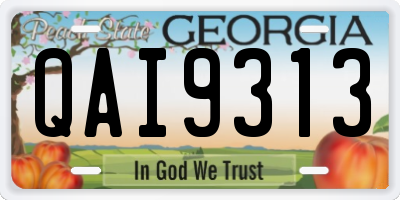 GA license plate QAI9313