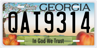 GA license plate QAI9314