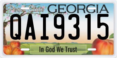 GA license plate QAI9315