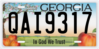 GA license plate QAI9317
