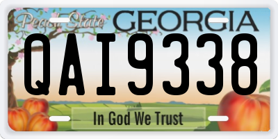 GA license plate QAI9338