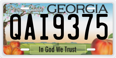GA license plate QAI9375