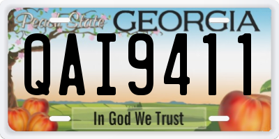 GA license plate QAI9411
