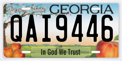 GA license plate QAI9446