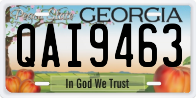 GA license plate QAI9463