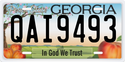 GA license plate QAI9493