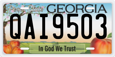 GA license plate QAI9503