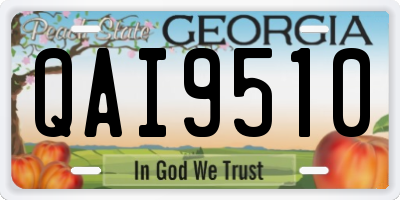 GA license plate QAI9510