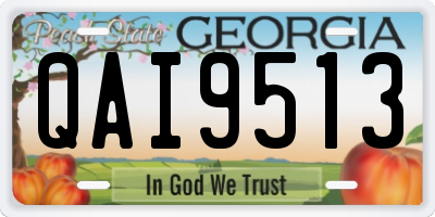 GA license plate QAI9513