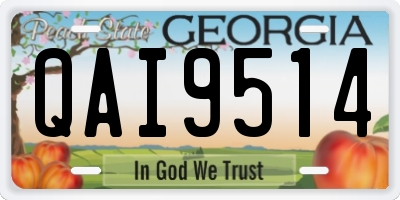 GA license plate QAI9514