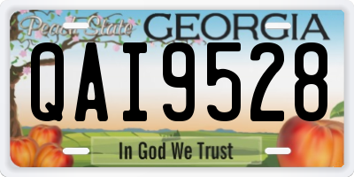 GA license plate QAI9528