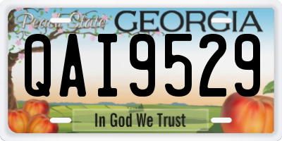 GA license plate QAI9529