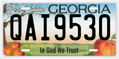 GA license plate QAI9530