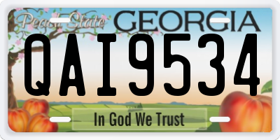 GA license plate QAI9534