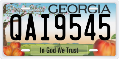 GA license plate QAI9545