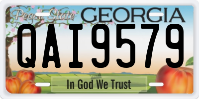 GA license plate QAI9579