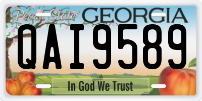 GA license plate QAI9589