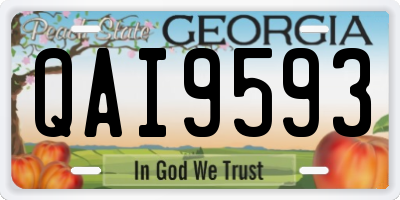 GA license plate QAI9593