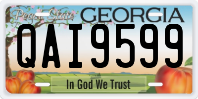 GA license plate QAI9599