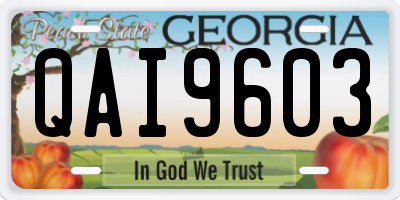 GA license plate QAI9603
