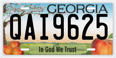 GA license plate QAI9625
