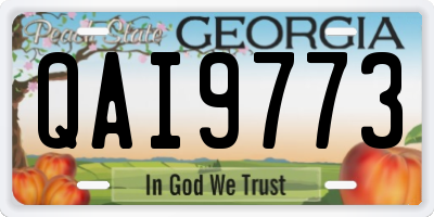 GA license plate QAI9773