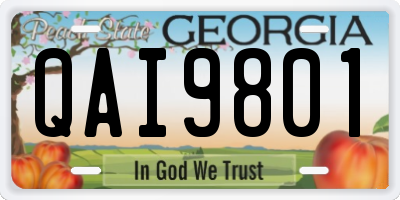 GA license plate QAI9801
