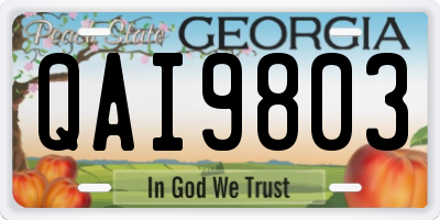 GA license plate QAI9803