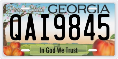 GA license plate QAI9845