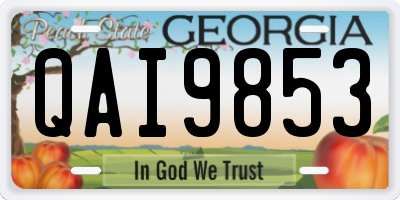 GA license plate QAI9853
