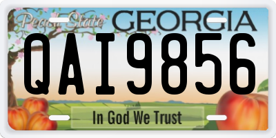 GA license plate QAI9856