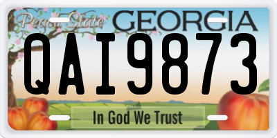 GA license plate QAI9873