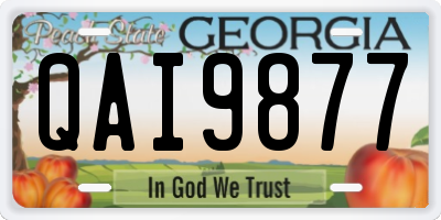 GA license plate QAI9877