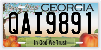 GA license plate QAI9891