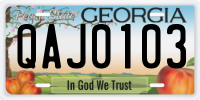 GA license plate QAJ0103