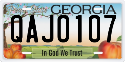 GA license plate QAJ0107