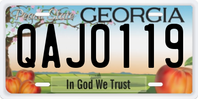 GA license plate QAJ0119
