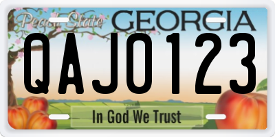 GA license plate QAJ0123