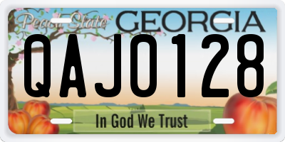 GA license plate QAJ0128