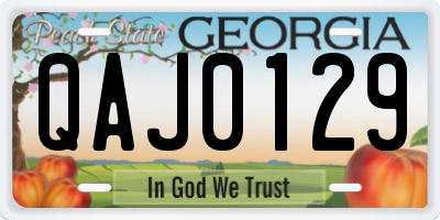 GA license plate QAJ0129
