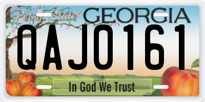 GA license plate QAJ0161