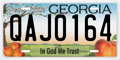 GA license plate QAJ0164