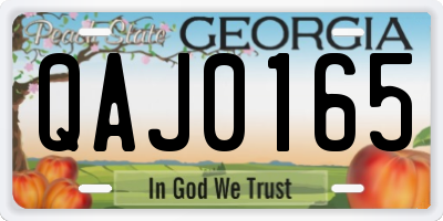 GA license plate QAJ0165