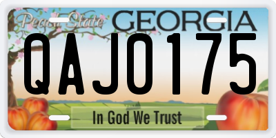 GA license plate QAJ0175