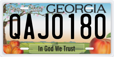 GA license plate QAJ0180